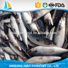 China conserva pescado de la caballa pacífica Grado C